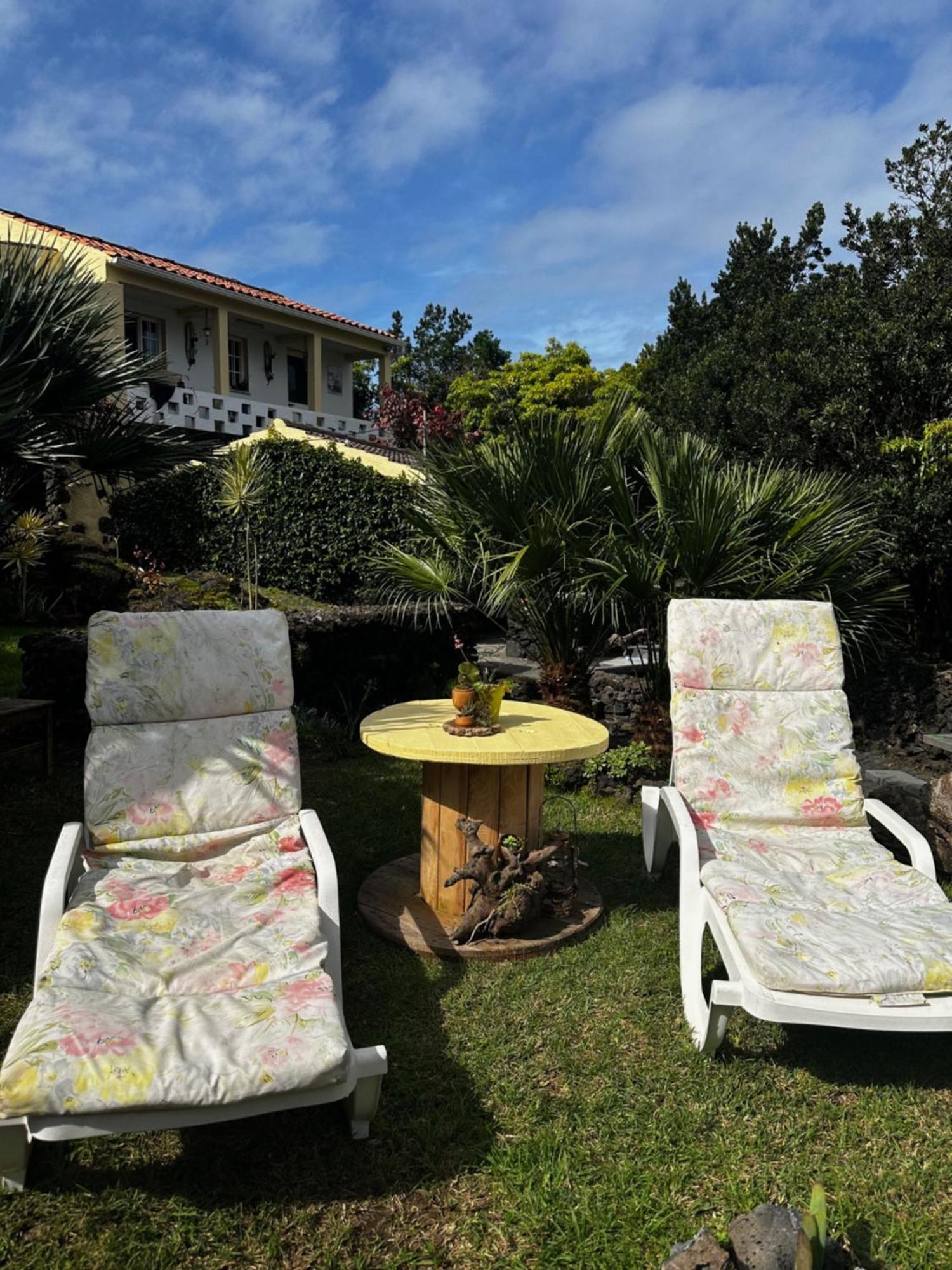 Praia do Norte Portugal Houseヴィラ エクステリア 写真
