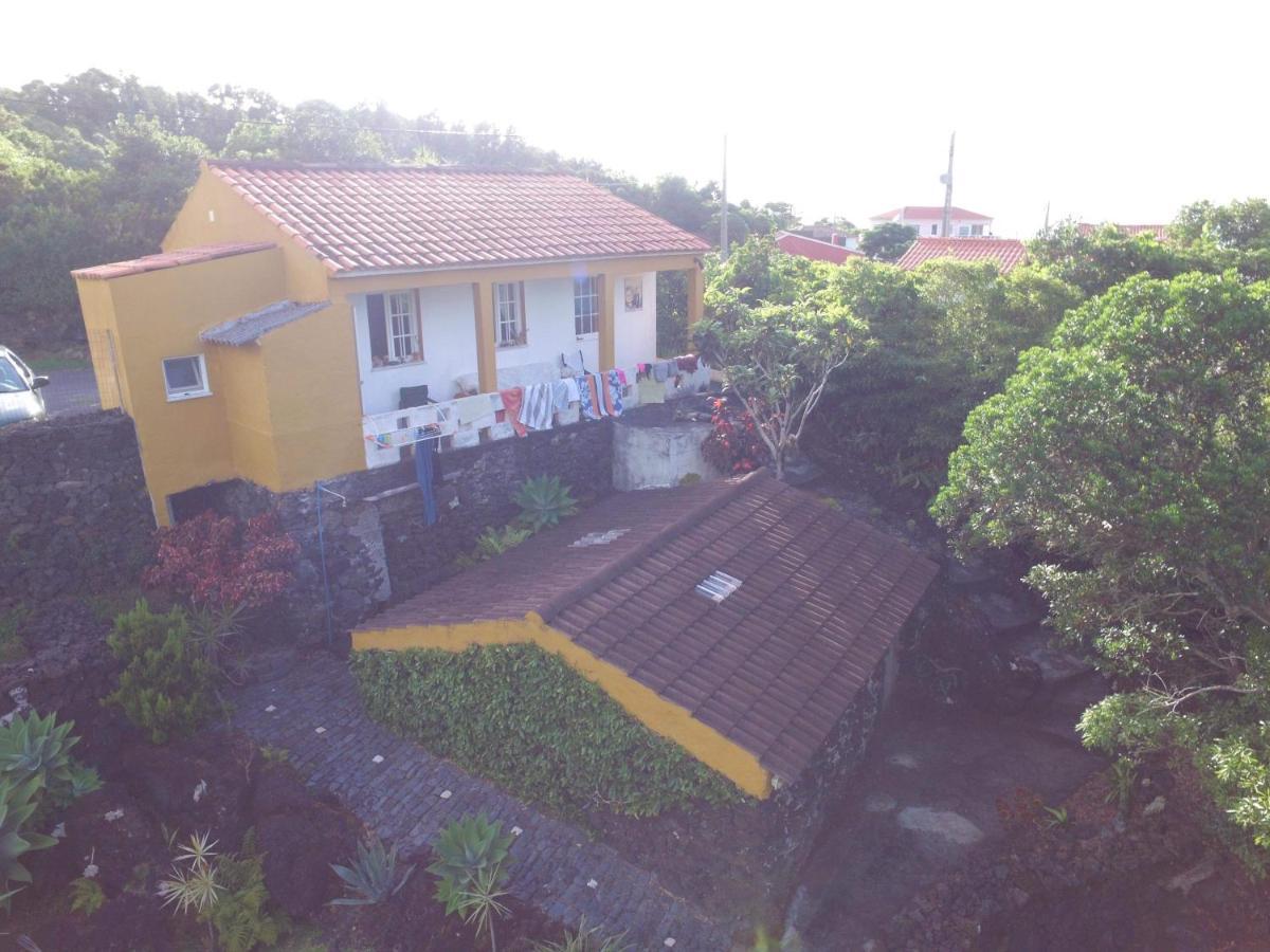 Praia do Norte Portugal Houseヴィラ エクステリア 写真